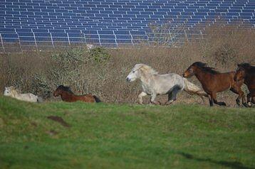 Solar array